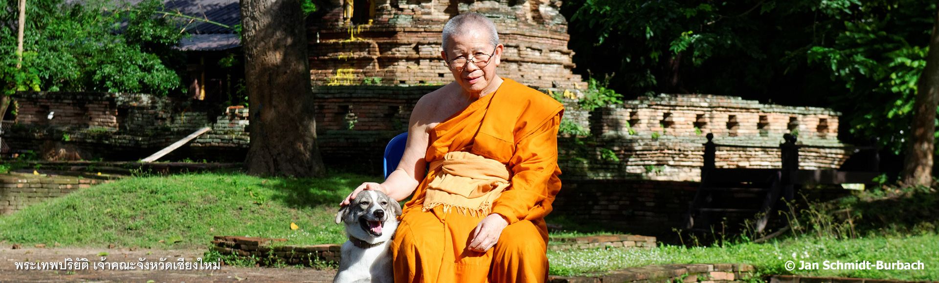 โครงการแก้ปัญหาสุนัขจรจัดด้วยวิถีแห่งพุทธ